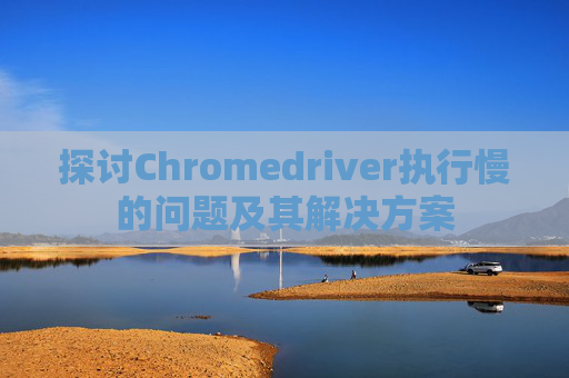探讨Chromedriver执行慢的问题及其解决方案